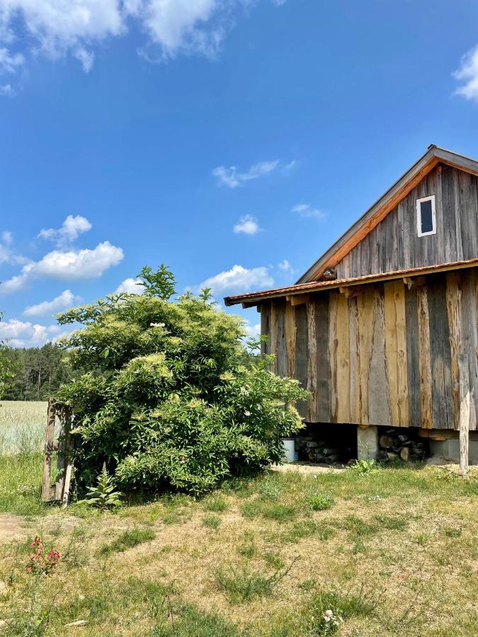 Polna Holiday home Jasionowka